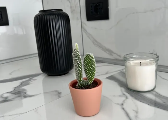 Апартаменты Baru's Санремо