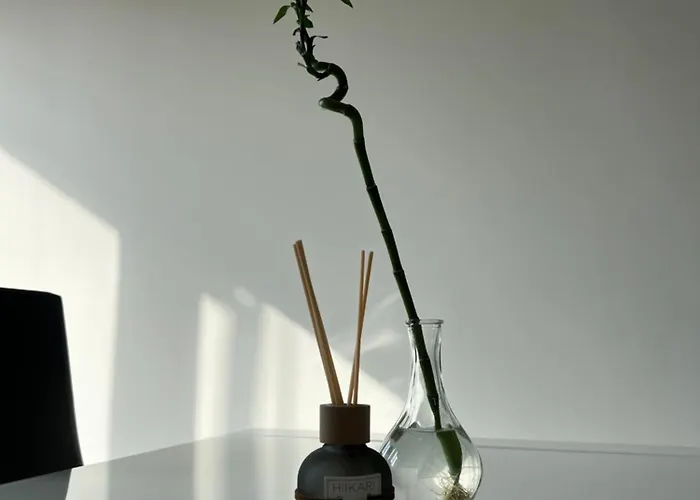 Baru's Апартаменты Санремо